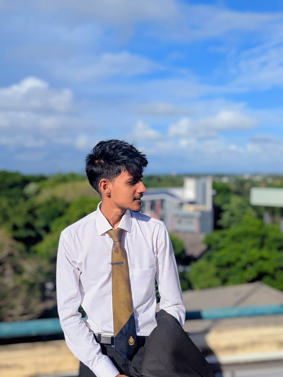 Vidarshana - Full Stack Developer